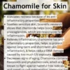 Bye-Bye Eczema Lotion - Image 5